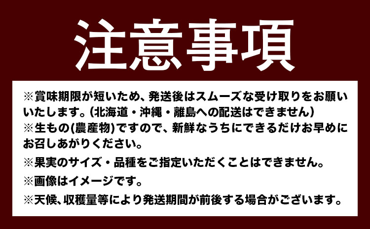 人気フルーツ全3回（7月・9月・11月）定期便 厳選館《7月上旬-11月末頃出荷》和歌山県 日高町 果物 フルーツ 和歌山の 桃 モモ もも ぶどう ブドウ 種なし ピオーネ 有田みかん 有田 みかん ミカン 蜜柑 柑橘 送料無料【配送不可地域あり】