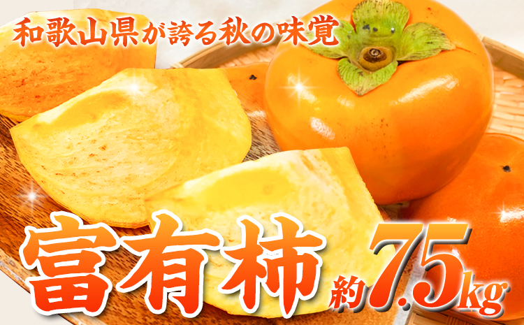 ＊先行予約＊和歌山 秋の味覚 富有柿 約7.5kg 株式会社魚鶴商店《2025年11月上旬-12月上旬頃出荷》和歌山県 日高町 柿 富有柿 フルーツ くだもの 果物 かき