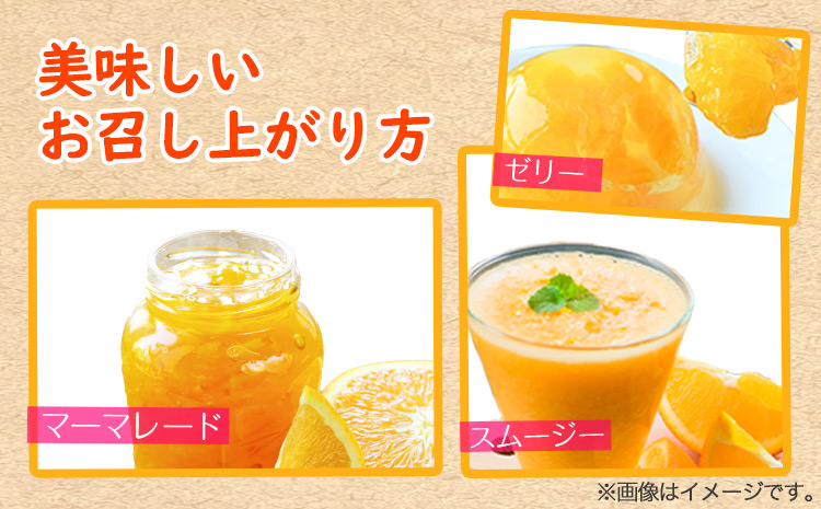 ＜先行予約＞初夏のみかん なつみ約5kg 株式会社 魚鶴商店《2026年4月中旬-4月下旬頃出荷》 和歌山県 日高町 みかん なつみ 南津海 柑橘 果物 フルーツ 送料無料