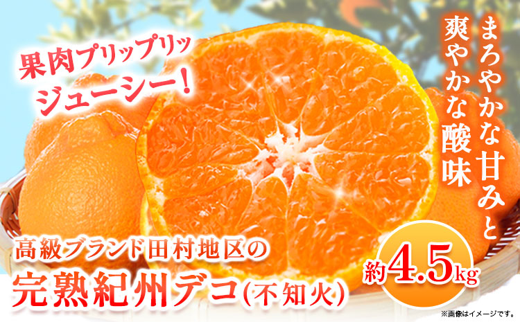 ãå
è¡äºçŽãé«çŽãã©ã³ãç°æã®å®ççŽå·ãã³(äžç¥ç«) çŽ4.5kg æ ªåŒäŒç€Ÿ éé¶Žååºã2026幎2æäžæ¬-3æäžé åºè·ãåæå±±ç æ¥é«çº ç°æå°åº äžç¥ç« ææ© æç© ãã«ãŒã ãã©ã³ãæå®(f)