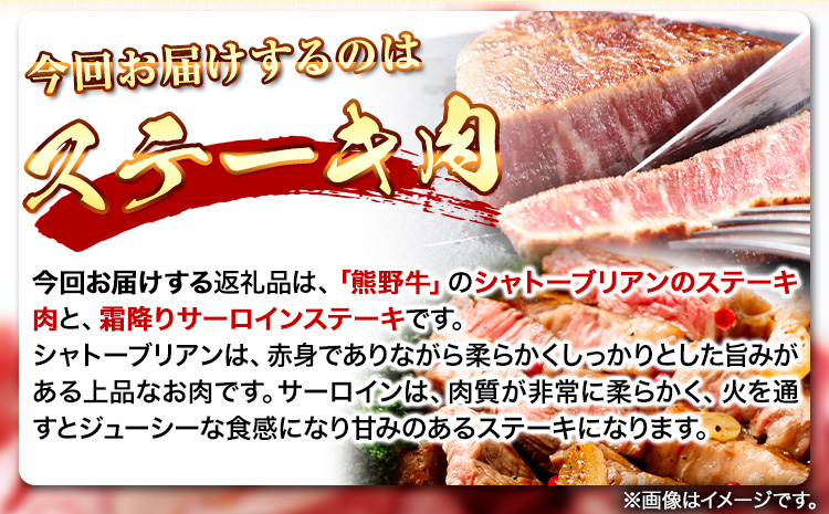 熊野牛 A4 以上 ヒレ シャトーブリアン ステーキ 100g×2枚 霜降り サーロイン ステーキ 180g×2枚 株式会社魚鶴商店《30日以内に出荷予定(土日祝除く)》 和歌山県 日高町 熊野牛 黒毛和牛 A4等級以上 ステーキ(F)