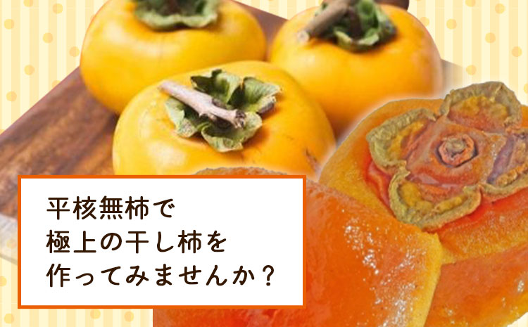 【2026年先行予約】T字枝付つるし柿用生渋柿 14.5〜15kg ふるさと農園《10月中旬-11月上旬頃出荷》