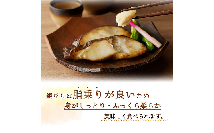 和歌山 魚鶴仕込みのだし漬け 銀だら 切身4切 銀鮭切身4切 塩さばフィレ4枚 真空パック入 小分け 株式会社魚鶴商店《30日以内に出荷予定(土日祝除く)》 和歌山県 日高町 銀だら 銀鮭 塩さば 切り身 切身(F-1)