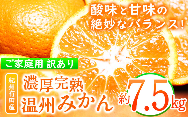 ＜先行予約＞【ご家庭用訳アリ】紀州有田産 濃厚完熟温州みかん 約7.5kg 株式会社魚鶴商店《2025年11月下旬-2026年2月上旬頃出荷》 和歌山県 日高町 みかん 温州みかん 完熟 濃厚 柑橘 ご家庭用