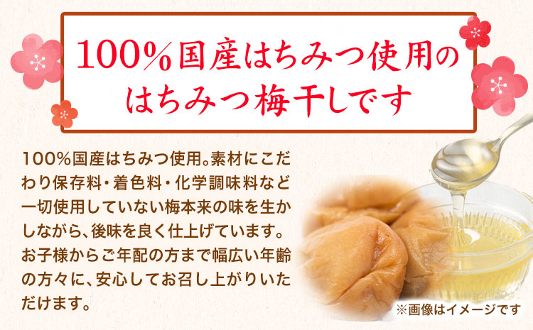 紀州南高梅使用 はちみつうす塩味完熟梅干し 800g 厳選館《90日以内に出荷予定(土日祝除く)》和歌山県 日高町 梅干し はちみつうす塩梅 紀州南高梅 送料無料