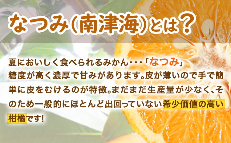 ＜先行予約＞初夏のみかん なつみ約5kg 株式会社 魚鶴商店《2025年4中旬-5上旬頃出荷》 和歌山県 日高町 みかん なつみ 南津海 柑橘 果物 フルーツ 送料無料