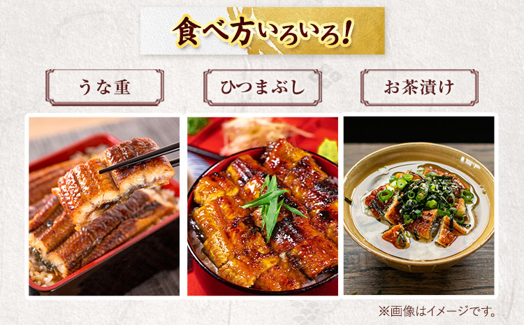 大型サイズ ふっくら柔らか 国産 うなぎ 蒲焼き 2尾 化粧箱入 株式会社魚鶴商店《30日以内に出荷予定(土日祝除く)》 和歌山県 日高町 うなぎ 鰻 蒲焼き 国産使用 ごはんのお供 おつまみ にも最適！ (F-10)