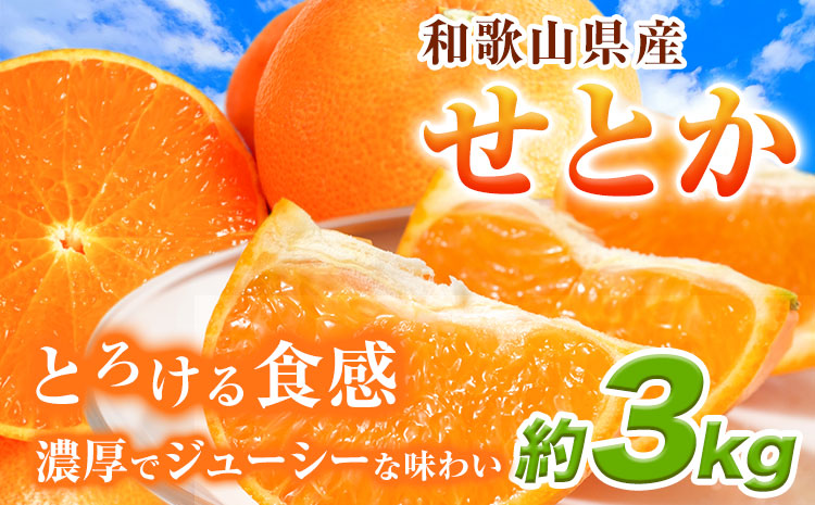 【先行予約】とろける食感!ジューシー柑橘 せとか 約3kg 株式会社魚鶴商店《2026年2月下旬-3月下旬頃出荷》 和歌山県 日高町 せとか 柑橘