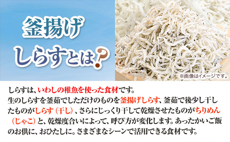 蜀キ蜃 驥懈恕縺 縺励i縺 700g 螟ァ莠疲オキ逕」縲60譌・莉・蜀縺ォ蜃コ闕キ莠亥ョ(蝨滓律逾晞勁縺)縲 蜥梧ュ悟アア逵 譌・鬮倡伴 驥懈恕縺 縺励i縺 蜀キ蜃 繧キ繝ゥ繧ケ 驥懈恕縺偵す繝ゥ繧ケ 豬キ逕」迚ゥ 豬キ魄ョ 豬キ魄ョ荳シ 荳シ 繧キ繝ゥ繧ケ荳シ 縺励i縺吩クシ(F)