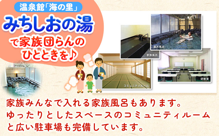 【温泉館「海の里」みちしおの湯】利用券　25枚組 《30日以内に出荷予定(土日祝除く)》和歌山県  日高町 日高町役場 温泉 チケット 