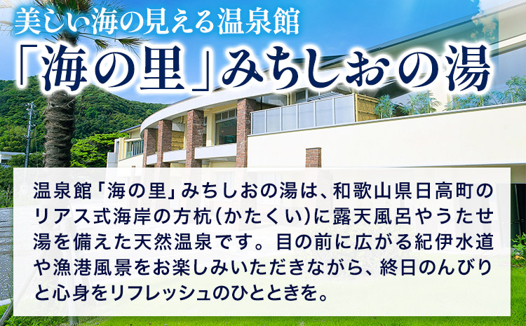 【温泉館「海の里」みちしおの湯】利用券　25枚組 《30日以内に出荷予定(土日祝除く)》和歌山県  日高町 日高町役場 温泉 チケット 