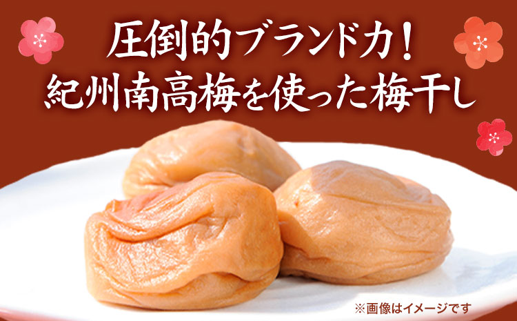 紀州南高梅使用 はちみつうす塩味完熟梅干し 800g 厳選館《90日以内に出荷予定(土日祝除く)》和歌山県 日高町 梅干し はちみつうす塩梅 紀州南高梅 送料無料(f)