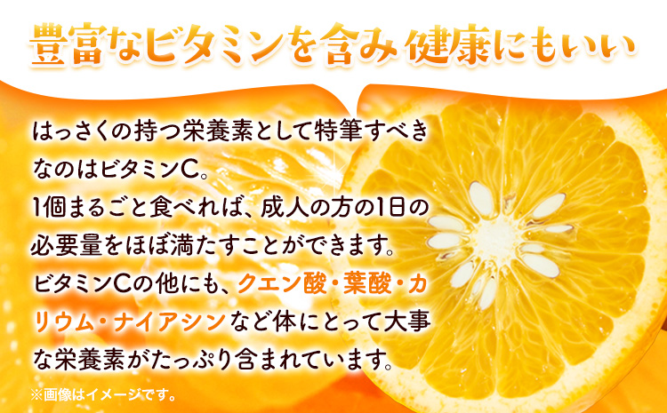 ＜1月より発送＞ご家庭用 訳あり はっさく 八朔 みかん 5kg+250g（傷み補償） 池田鹿蔵農園 日高町《2026年1月上旬-3月末頃出荷》和歌山県 日高町 送料無料 はっさくみかん 八朔 訳ありはっさく【配送不可地域あり】