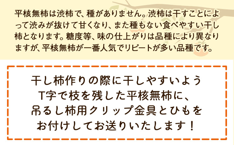 【2026年先行予約】T字枝付つるし柿用生渋柿 1.5〜2kg ふるさと農園《10月中旬～11月上旬頃発送予定》