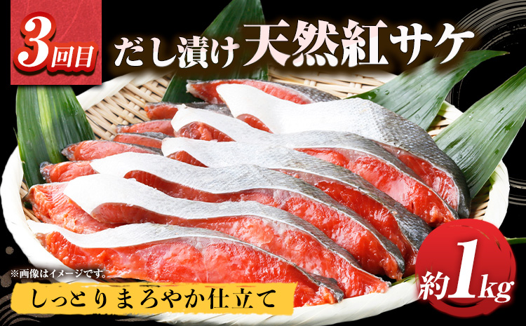 【定期便 全3回】 E サバフィレ 8枚 銀鮭切身 8枚 紅鮭切身 1kg 株式会社魚鶴商店《お申し込み月の翌月より出荷開始》 和歌山県 日高町 鮭 さけ 紅さけ 切り身 さば 塩さば 焼き魚 焼くだけ 簡単 魚 さかな