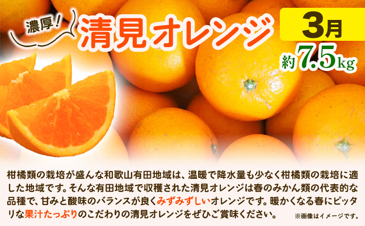 【発送月固定定期便】紀州 和歌山産 旬の ご家庭用 柑橘 セット (みかん 不知火 清見)【全３回】 魚鶴商店《1月上旬-3月末頃出荷予定(土日祝除く)》 和歌山県 日高町 みかん 不知火 清見 オレンジ 柑橘 蜜柑 果物 フルーツ 訳あり ギフト 定期 定期便 くだもの 果物 果物定期便