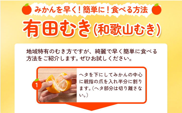 迫力満点！大粒 有田みかん 2L-4Lサイズ 約4kg 有田マルシェ《11月上旬-1月上旬頃出荷》和歌山県 日高町 みかん 大粒 有田みかん 温州みかん 柑橘 フルーツ ミカン 蜜柑