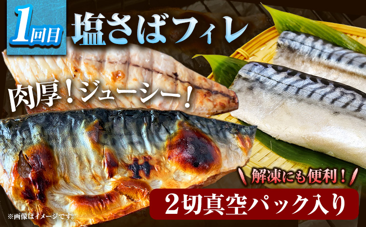 【定期便 全3回】 E サバフィレ 8枚 銀鮭切身 8枚 紅鮭切身 1kg 株式会社魚鶴商店《お申し込み月の翌月より出荷開始》 和歌山県 日高町 鮭 さけ 紅さけ 切り身 さば 塩さば 焼き魚 焼くだけ 簡単 魚 さかな