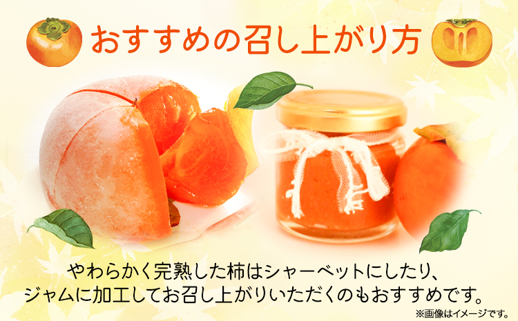 ＊先行予約＊和歌山 秋の味覚 富有柿 約7.5kg 株式会社魚鶴商店《2026年11月中旬-12月上旬頃出荷》和歌山県 日高町 柿 富有柿 フルーツ くだもの 果物 かき