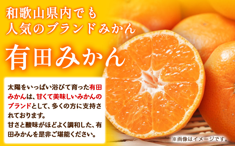 【訳あり・ご家庭用】和歌山有田みかん 5kg（S〜Lサイズいずれかお届け） 厳選館 《11月中旬-2月上旬頃出荷予定》 和歌山県 日高町 みかん 有田みかん 柑橘 フルーツ