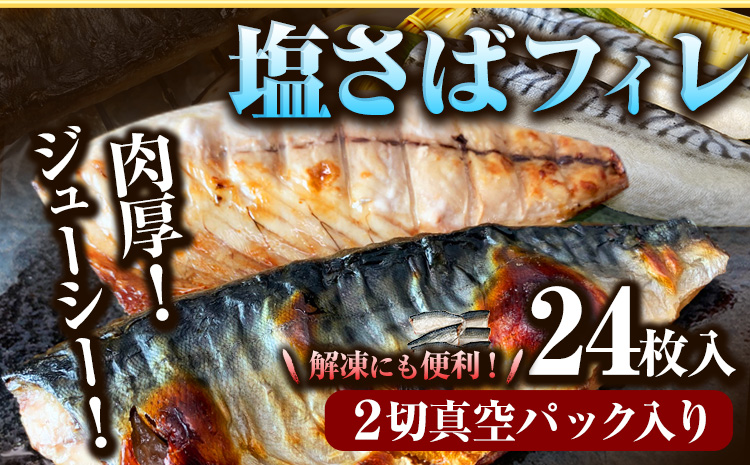 塩さば フィレ 24枚入 (真空パック入)  株式会社魚鶴商店《30日以内に出荷予定(土日祝除く)》 和歌山県 日高町 さば 塩サバ 鯖  ごはんのお供 おつまみ にも最適！ 