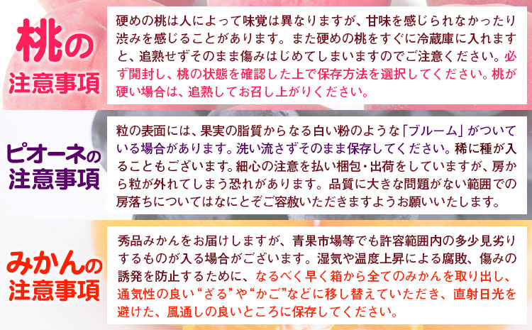 人気フルーツ全3回（7月・9月・11月）定期便 厳選館《7月上旬-11月末頃出荷》和歌山県 日高町 果物 フルーツ 和歌山の 桃 モモ もも ぶどう ブドウ 種なし ピオーネ 有田みかん 有田 みかん ミカン 蜜柑 柑橘 送料無料【配送不可地域あり】