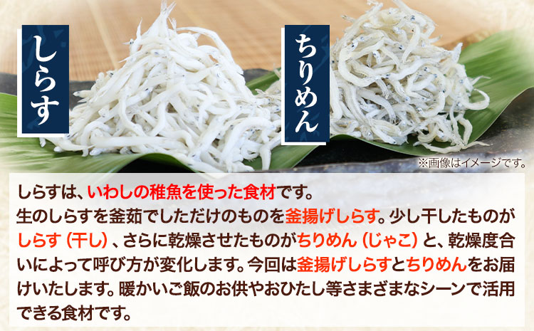 しらす ちりめん 2色セット「匠A」 takumi 大五海産《60日以内に出荷予定(土日祝除く)》和歌山県 日高町 釜揚げ かまあげ しらす ちりめん セット ごはんのお供 シラス 