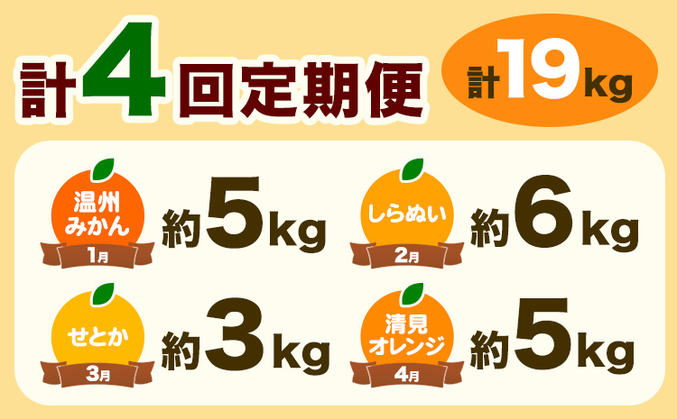 【発送月固定定期便】紀州 和歌山産 旬の ご家庭用 柑橘 セット (みかん 不知火 せとか 清見)【全4回】 計19kg 魚鶴商店《2026年1月上旬-5月上旬頃出荷》和歌山県 日高町 みかん 不知火 清見 オレンジ 柑橘 蜜柑 果物 訳あり 送料無料 定期便(F)