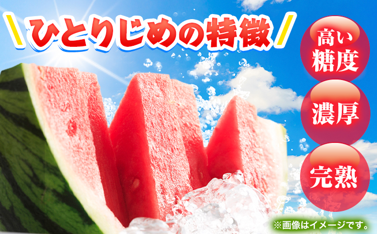 【先行予約】紀州和歌山産 小玉 スイカ 「ひとりじめ」 2玉 魚鶴商店《2026年6月上旬-7月上旬頃出荷》 和歌山県 日高町 スイカ スイーツ フルーツ 果物 野菜 スイカ すいか 夏 旬