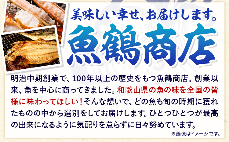 甘口塩銀鮭切身4切＆天然塩さばフィレ4枚 小分け 魚鶴商店《90日以内に出荷予定(土日祝除く)》和歌山県 日高町 甘口塩銀鮭 銀鮭 鮭 さけ 切り身 塩さば 鯖 さば フィレ