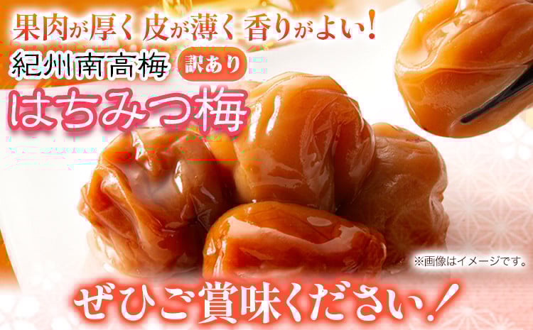 南高梅 はちみつ 梅 わけあり 紀州南高梅 はちみつ梅 約800g 有限会社プラム《30日以内に出荷予定(土日祝除く)》和歌山県 日高町 送料無料 梅 うめ ウメ 南高梅 蜂蜜 紀州 訳あり 送料無料