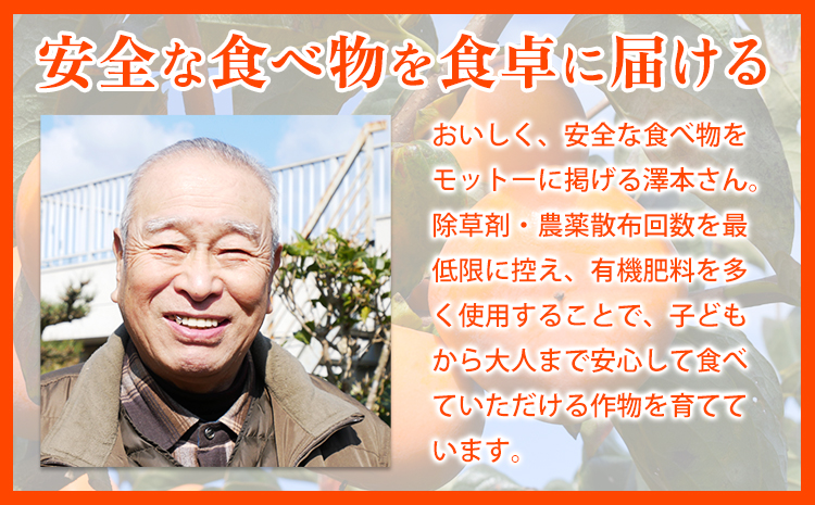 【2026年先行予約】T字枝付つるし柿用生渋柿 1.5〜2kg ふるさと農園《10月中旬～11月上旬頃発送予定》