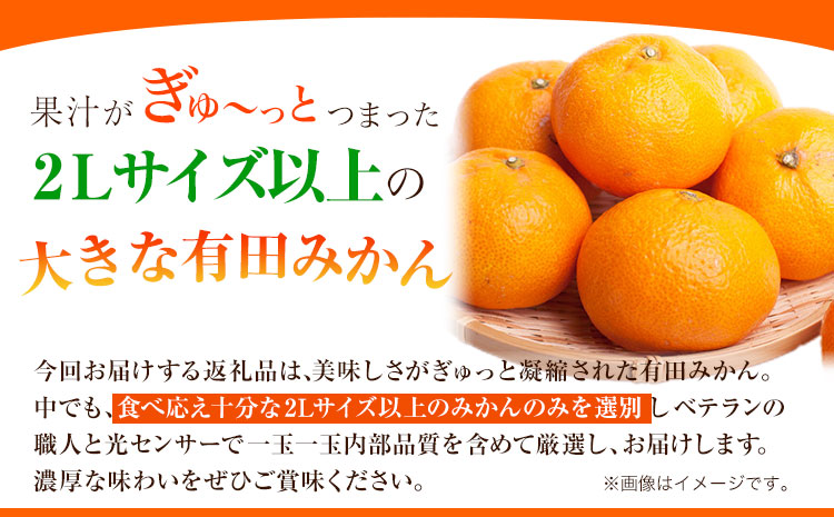 ＜先行予約＞厳選　大きな有田みかん10kg+300g（傷み補償分）【光センサー選果】池田鹿蔵農園@日高町（池田農園株式会社）《11月中旬-2月中旬頃出荷》和歌山県 日高町【配送不可地域あり】