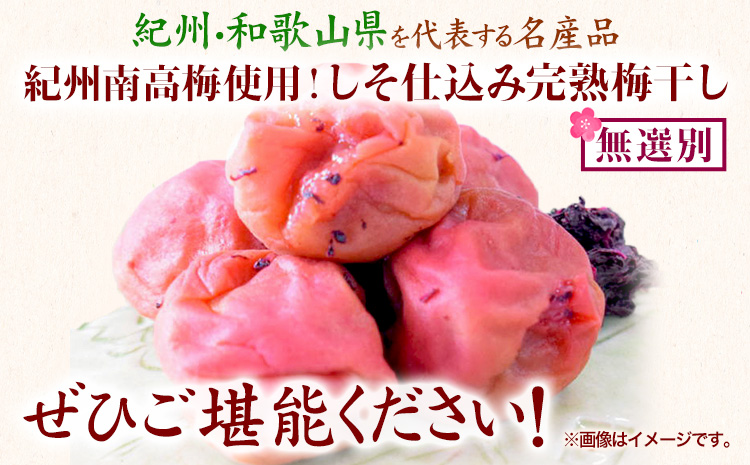 çŽå·å髿¢
äœ¿çš ããä»èŸŒã¿å®çæ¢
å¹²ã ç¡éžå¥ 1kg å³éžé€šã90æ¥ä»¥å
ã«åºè·äºå®(忥ç¥é€ã)ãåæå±±ç æ¥é«çº æ¢
å¹²ã ããä»èŸŒã¿ çŽå·å髿¢
éæç¡æ(F-3)