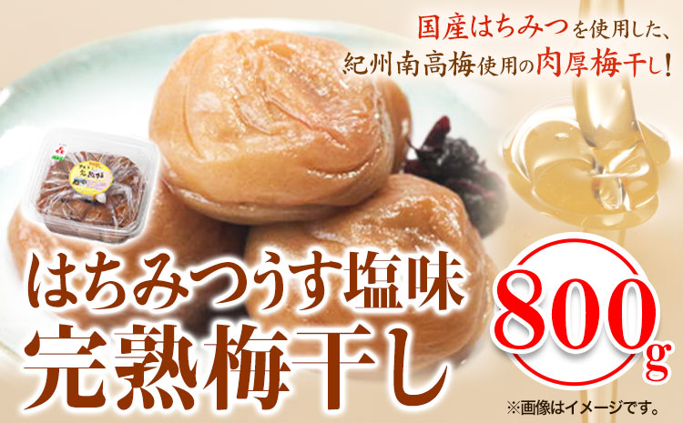 紀州南高梅使用 はちみつうす塩味完熟梅干し 800g 厳選館《90日以内に出荷予定(土日祝除く)》和歌山県 日高町 梅干し はちみつうす塩梅 紀州南高梅 送料無料