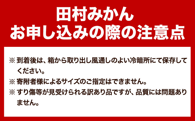 【先行予約】高級ブランド田村みかん 10kg 株式会社魚鶴商店《2026年11月下旬-2027年1月下旬頃出荷》 和歌山県 日高町  柑橘 フルーツ