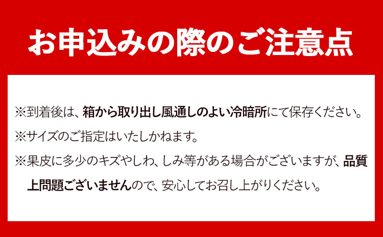 ＜先行予約＞とにかくジューシー 清見 オレンジ 約5kg  株式会社魚鶴商店《2027年3月下旬-4月下旬頃出荷》和歌山県 日高町 柑橘 果物 フルーツ