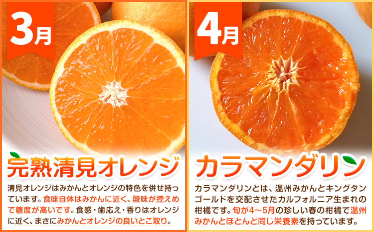 ご家庭用・訳あり わかやま旬のカンキツ定期便【M】 全4回 合計18.5kg 有田マルシェ《発送月固定・全4回出荷》和歌山県 日高町 フルーツ 果物 柑橘 ご家庭用 訳あり 有田みかん 清見オレンジ カラマンダリン 完熟 青切