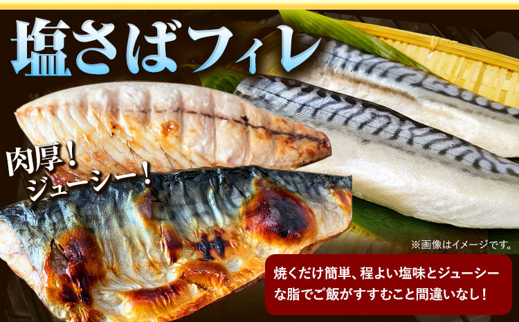 【ご家庭用訳あり】人気の塩さばフィレ＆紅鮭切身セット 計1kg 株式会社魚鶴商店《30日以内に出荷予定(土日祝除く)》 和歌山県 日高町 鮭 さけ 紅さけ 切り身 さば 塩さば 焼き魚 焼くだけ 簡単 魚 さかな(f)