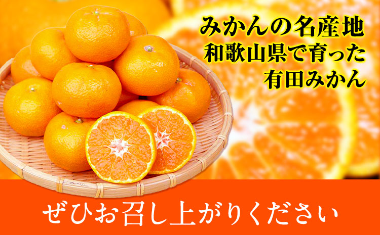 ＜先行予約＞完熟有田みかん 10kg 株式会社魚鶴商店《2025年11月下旬-2026年2月上旬頃出荷》和歌山県 日高町 有田みかん ミカン 蜜柑 フルーツ 柑橘