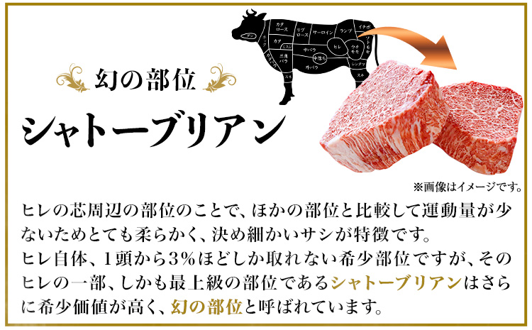 熊野牛 A4 以上 ヒレシャトーブリアン ステーキ 200g 霜降り ロース スライス 200g 株式会社魚鶴商店《30日以内に出荷予定(土日祝除く)》 和歌山県 日高町 熊野牛 黒毛和牛 A4等級以上 赤身 こま切れ(F)
