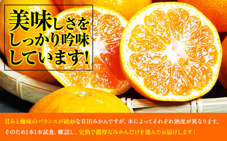 ＜先行予約＞完熟有田みかん 10kg 株式会社魚鶴商店《2025年11月下旬-2026年2月上旬頃出荷》和歌山県 日高町 有田みかん ミカン 蜜柑 フルーツ 柑橘