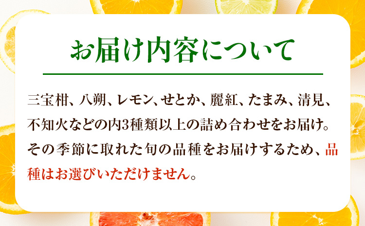 主井農園の季節のこだわりみのりセット ご家庭用 約 5kg 主井農園《2月中旬-4月下旬頃出荷予定》 和歌山県 日高町 柑橘 みかん オレンジ せとか 清見オレンジ たまみ 不知火 デコポン 八朔 レモン 果物 詰合せ 訳あり 送料無料