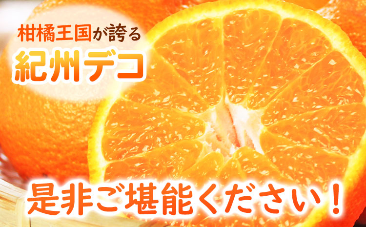 【先行予約】果肉プリプリ♪ 完熟紀州デコ(不知火) 約3kg 株式会社魚鶴《2027年2月下旬-3月中旬頃出荷》和歌山県 日高町 不知火 柑橘 果物 フルーツ 