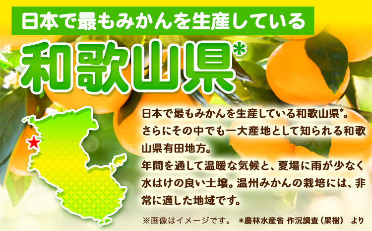 【訳あり・ご家庭用】和歌山有田みかん 5kg（S〜Lサイズいずれかお届け） 厳選館 《11月中旬-2月上旬頃出荷予定》 和歌山県 日高町 みかん 有田みかん 柑橘 フルーツ