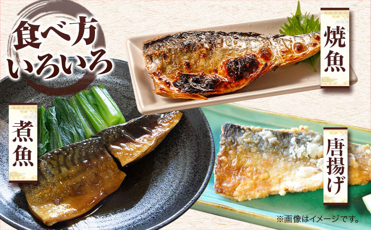 和歌山魚鶴仕込の魚切身詰め合わせセット(3種8枚)×2セット 計16枚 株式