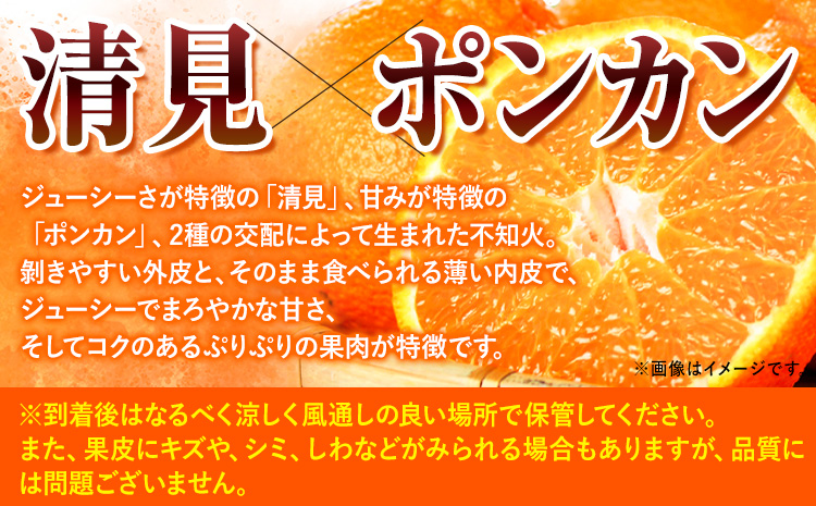 【先行予約】紀州有田産不知火(しらぬひ) 約5kg  株式会社魚鶴商店《2025年2月上旬-3月下旬頃出荷》 和歌山県 日高町 不知火 しらぬい 柑橘 ご家庭用