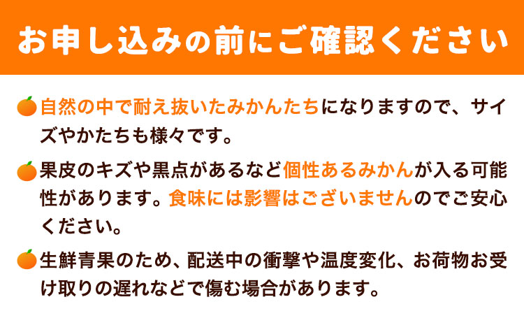 【先行予約】早生 みかん 約 5kg (2S～Lサイズ) どの坂果樹園《12月上旬-2027年2月上旬頃出荷》 和歌山県 日高町 みかん 早生 旬 柑橘 フルーツ 果物 蜜柑 ミカン 2026年出荷出荷