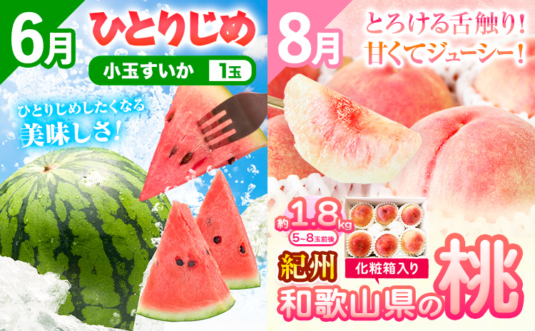 【発送月固定定期便】フルーツセット 果物セット(すいか 桃 ひらたねなし柿 みかん)【全4回】 魚鶴商店《6月中旬-12月末頃出荷予定(土日祝除く)》 和歌山県 日高町 すいか 小玉 ひとりじめ 桃 平核無柿 柿 化粧箱入 ギフト 果物 フルーツ 旬 送料無料 定期便