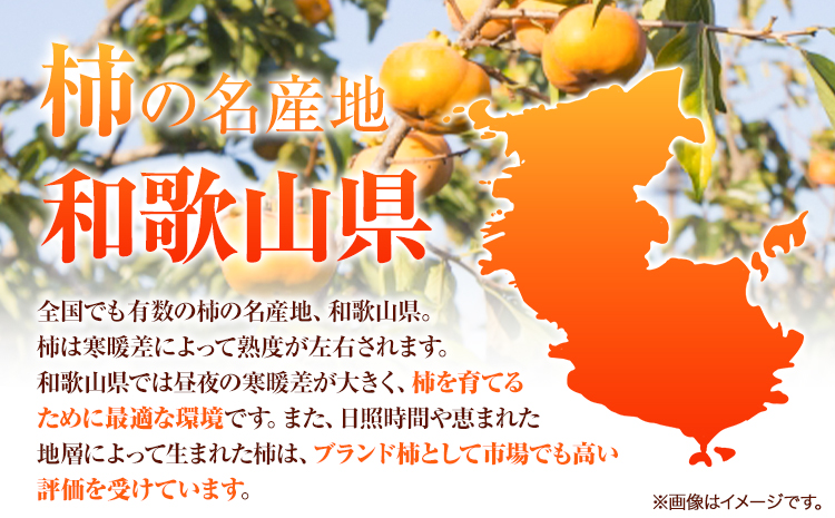 秀品 和歌山 秋の味覚 富有柿 約2kg 化粧箱入 株式会社魚鶴商店《2025年11月上旬-12月上旬頃出荷》和歌山県 日高町 柿 富有柿 フルーツ